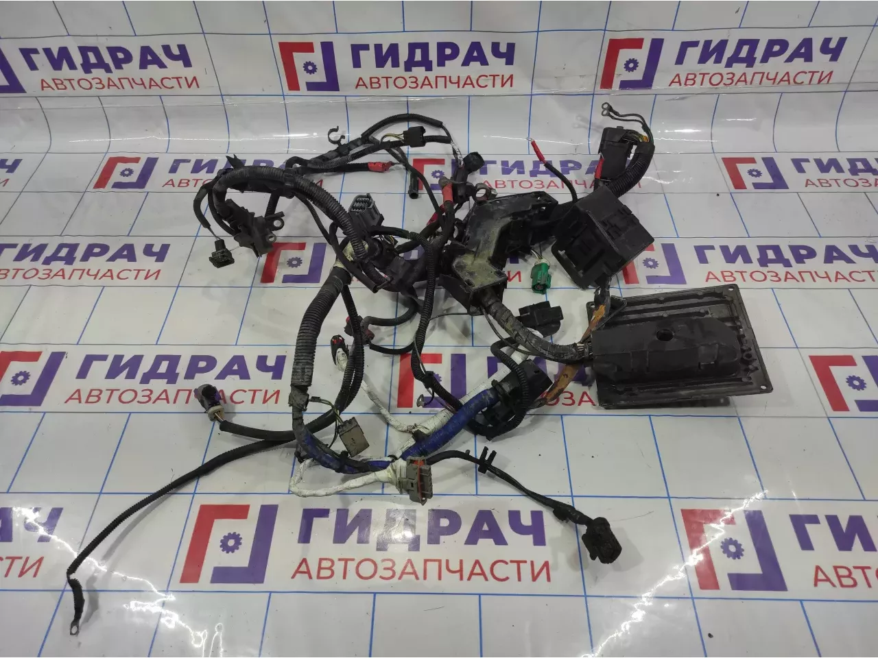 Проводка (коса) подкапотная Ford Fiesta (Mk VI) 1517141. С блоком  управления двигателем 1360194.